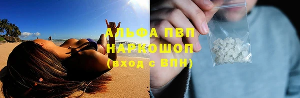 винт Пестово