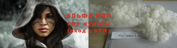 винт Пестово